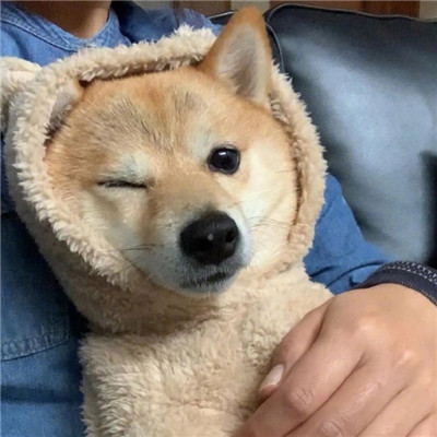 视频播放量服务图标